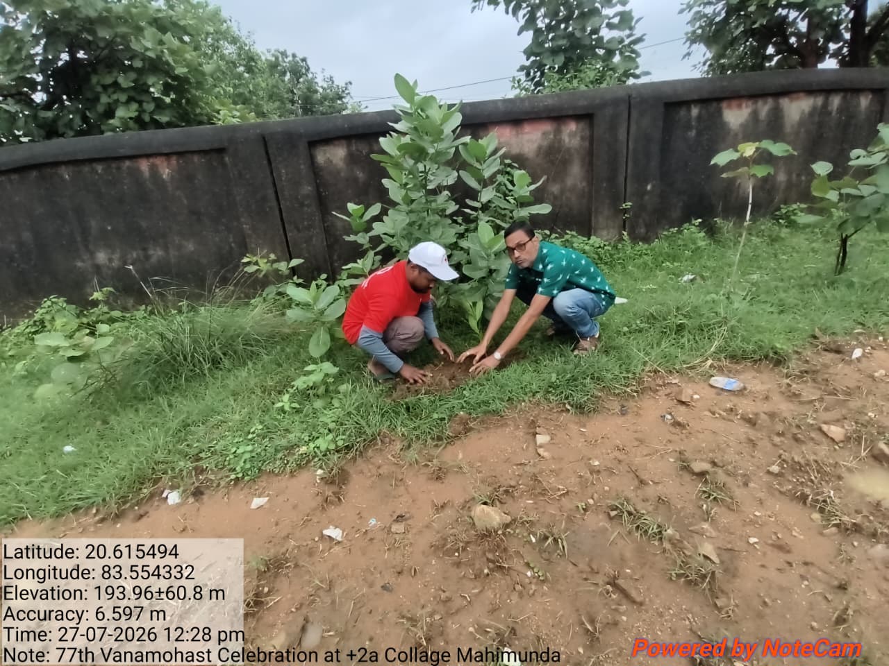 Plantation Programme