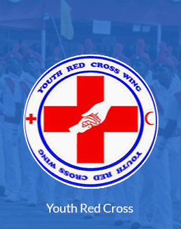 N.S.S (National Service Scheme)